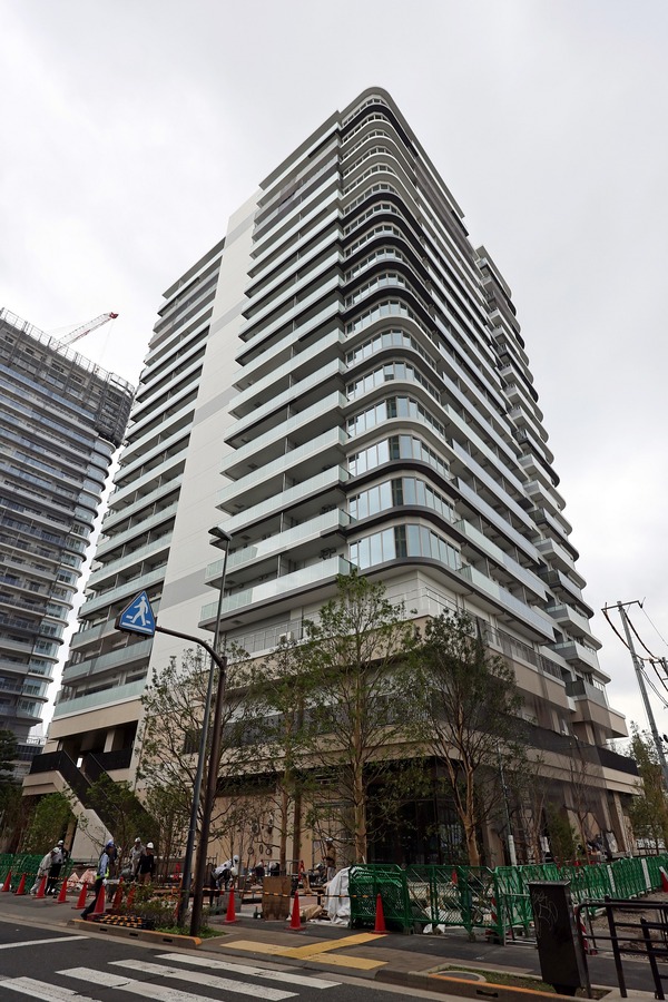 �ѡ������ƥ����� �� ��� �֥꡼��