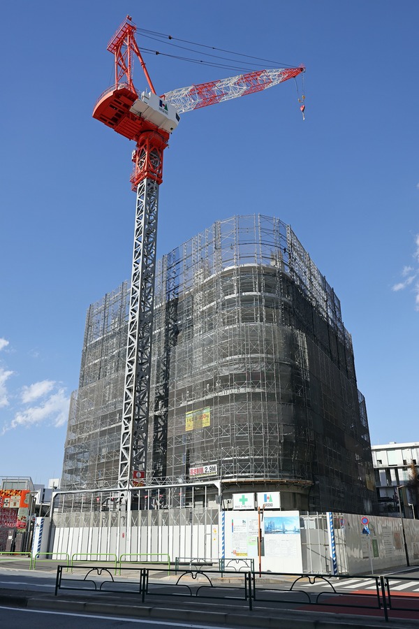 �ѡ����������ŷ����