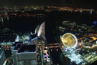 ���ͥ��ɥޡ��������������