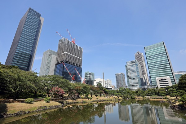 �����ǰץ��󥿡��ӥ�ǥ����ܴ�