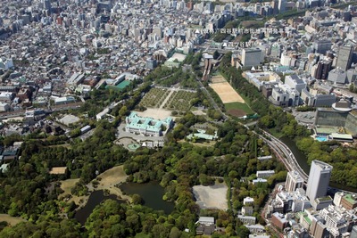 �ʲ��Ρ˻�ë�����Գ��ϺƳ�ȯ���Ȥζ���