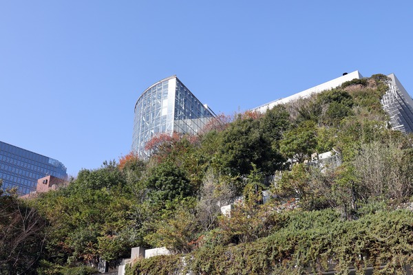 ¥¢¥¯¥í¥¹Ê¡²¬