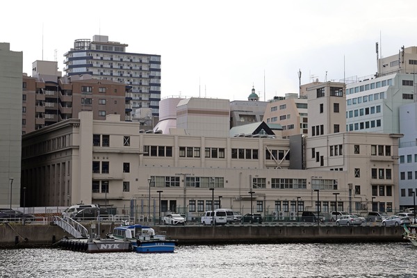 ����͹���ӥ�