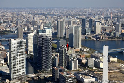 �����ζ���