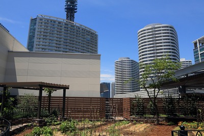 MARK IS �ߤʤȤߤ餤�ʥޡ��������ߤʤȤߤ餤��