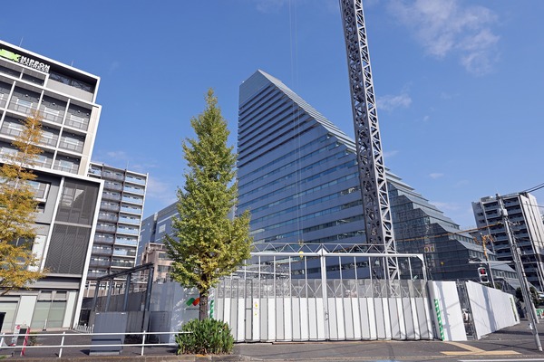 ���ƥ���� �� �쥤��ܡ�