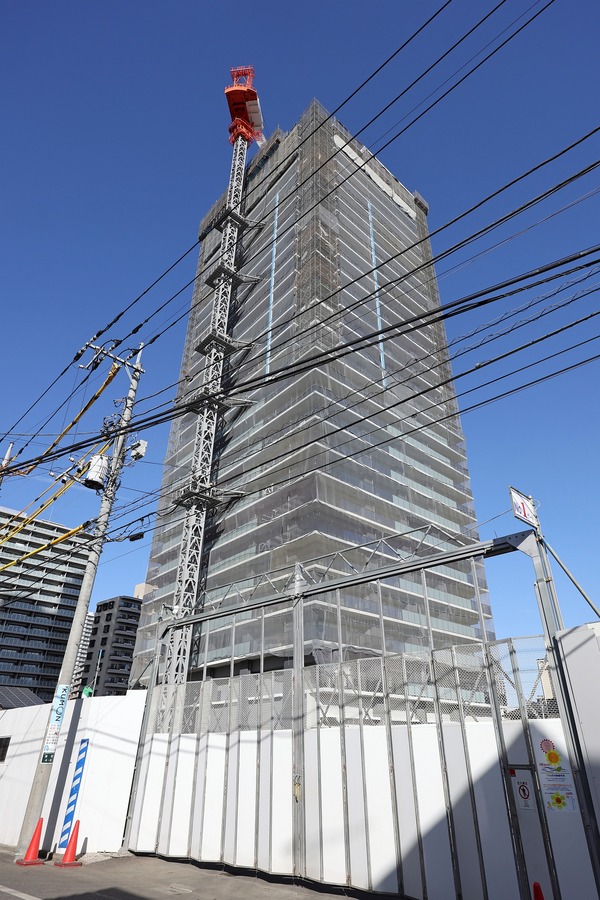 �ѡ�����������Į