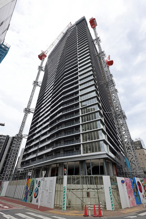 ��ӥ��������