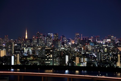 2010ǯ�Ǹ��������