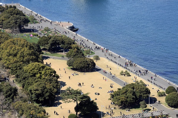 ���ͥޥ�󥿥�����į��