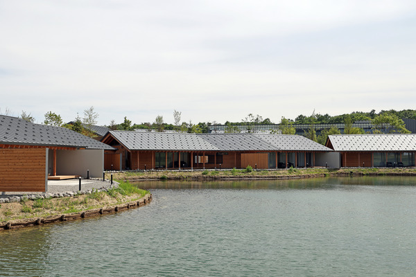 ������֥�ޡ��� �ۥå����ɥ��ܡ���ѡ��� ���եӥ�å�