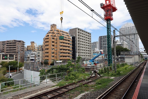 �Ķ����Ķ����϶�����Գ��ϺƳ�ȯ����