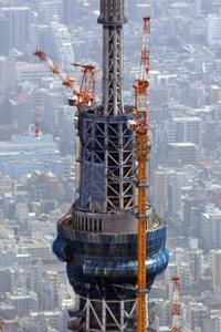 ����������ĥ꡼�ζ���