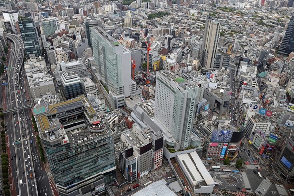 ƻ�������������϶�����Գ��ϺƳ�ȯ����