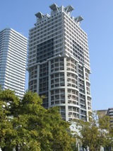 ����Ʋ���