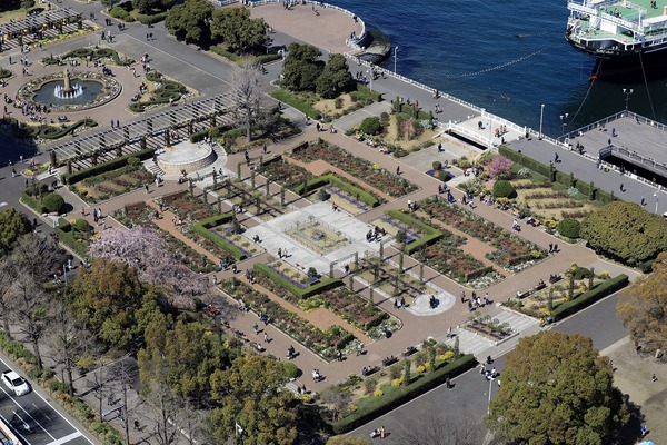 ���ͥޥ�󥿥�����į��