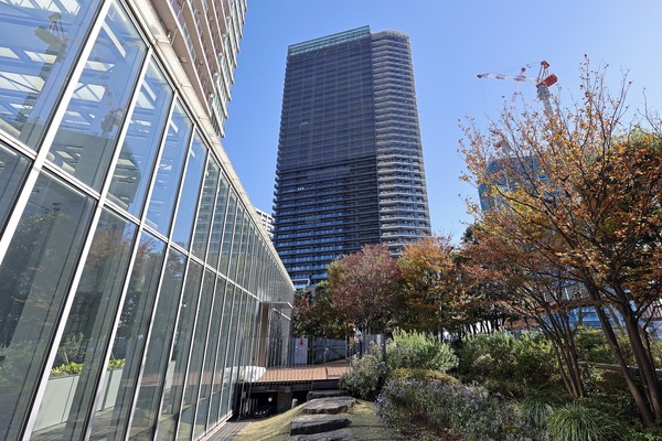 �����ɥ��ƥ��������