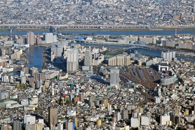 ���� ���齻