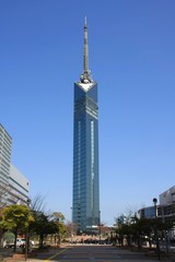 ʡ�����