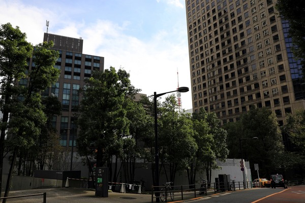 �ѡ��������ȸץ���