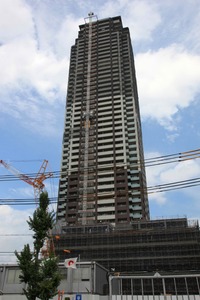 ��ƥ���쥸�ǥ�