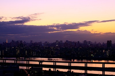 ����������ȥ磻�饤��