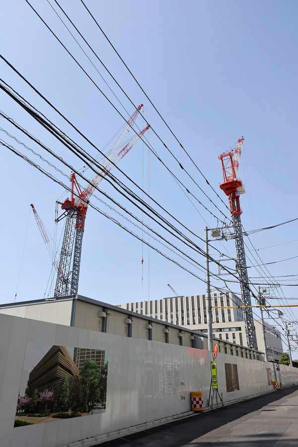 �����ѡ����ϥ��� ��¢��������� �Ρ���