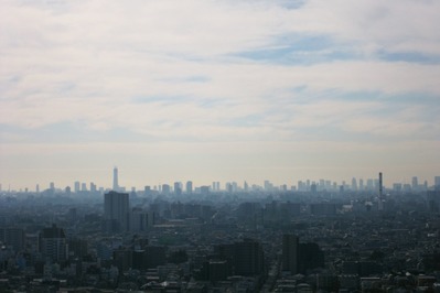 �ϡ���ͥ����������������������ĥ꡼�ʤ�