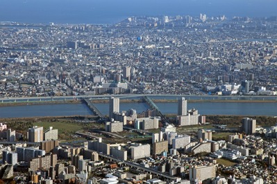 ���� ���١�����������