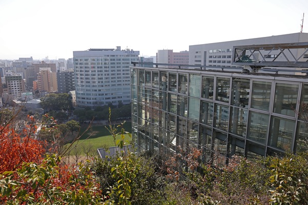 ¥¢¥¯¥í¥¹Ê¡²¬¤«¤é¤Îį¤á