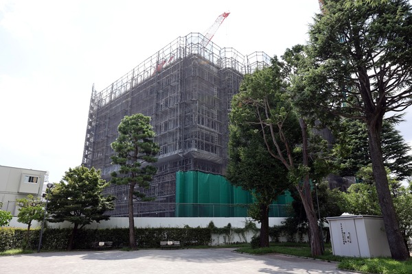 �ѡ������ƥ����� �� ��� �֥꡼��