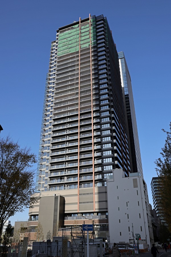 ���ƥ��������