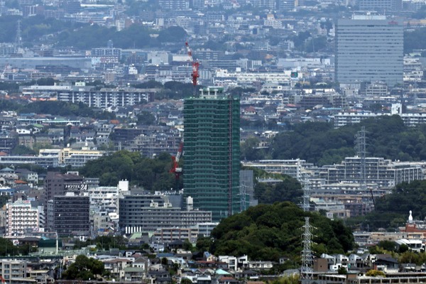 ���ͥ��ɥޡ���������鸫���ɥ�å����������