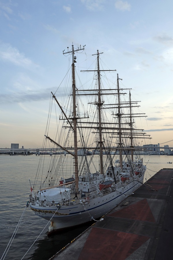 晴海客船ターミナルから見た日本丸