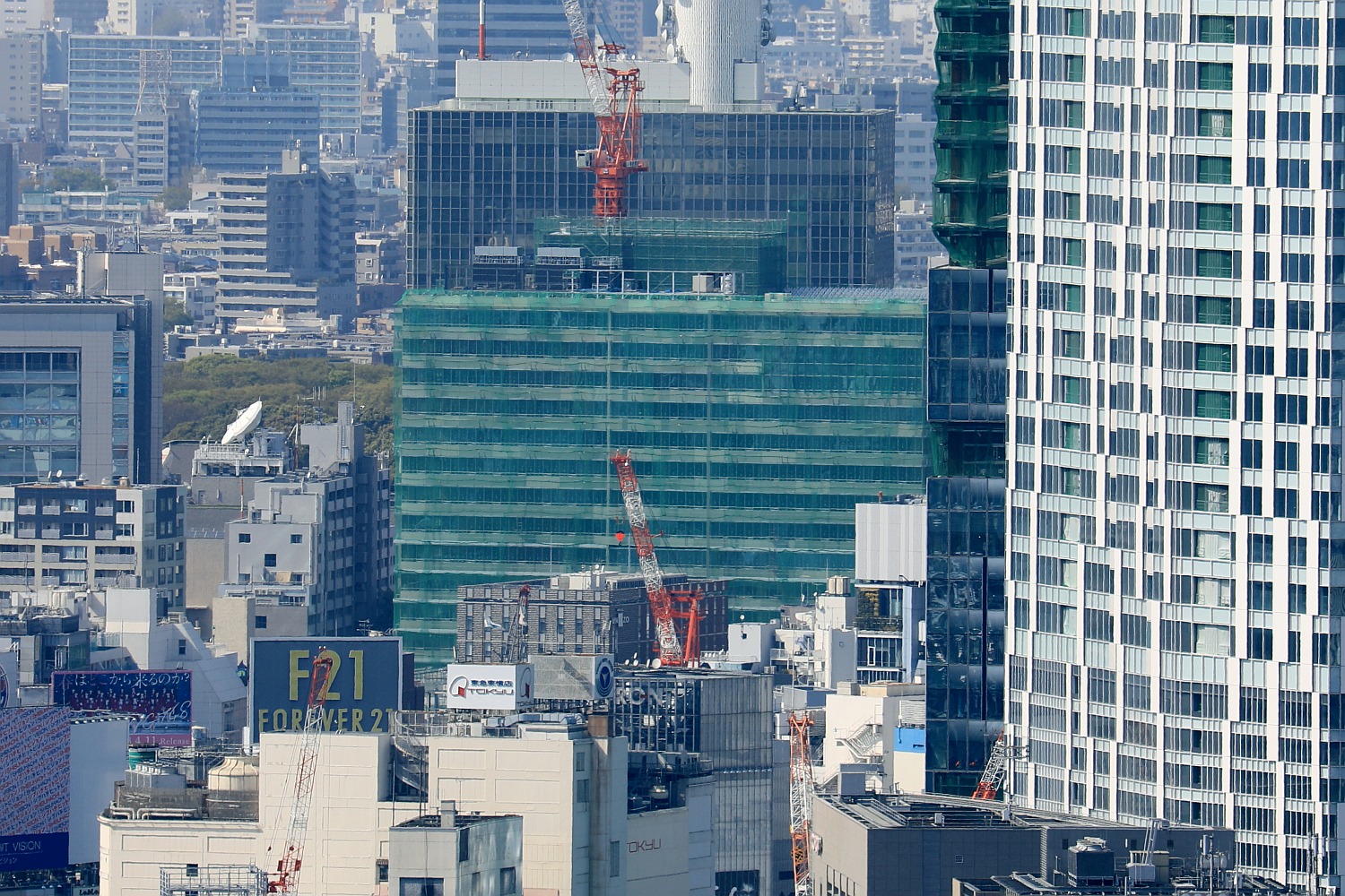 仮称 渋谷区役所建替プロジェクト新庁舎棟 庁舎 公会堂 超高層マンション 超高層ビル 仮称 渋谷区役所建替プロジェクト新庁舎棟 庁舎 公会堂 超高層マンション 超高層ビル