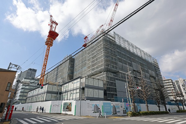 �ѡ��������ë����