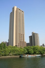 ���ܥ�С����ƥ�