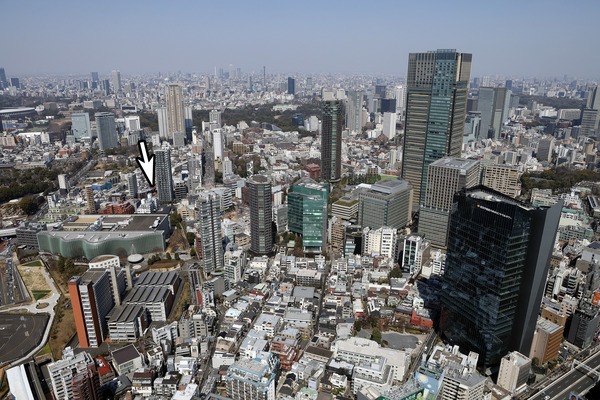 �֥�ꥢ���ǵ�ں�