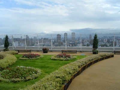 ���齻�ޥ륤�β���