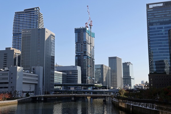 �ѡ���������Ʋ����