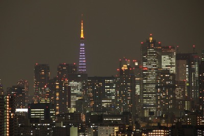 ������ ��������ɥ������롦�ۥ磻�ȥ��������