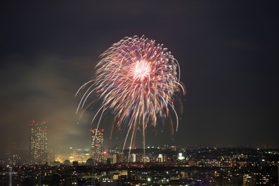 �����������ֲ����