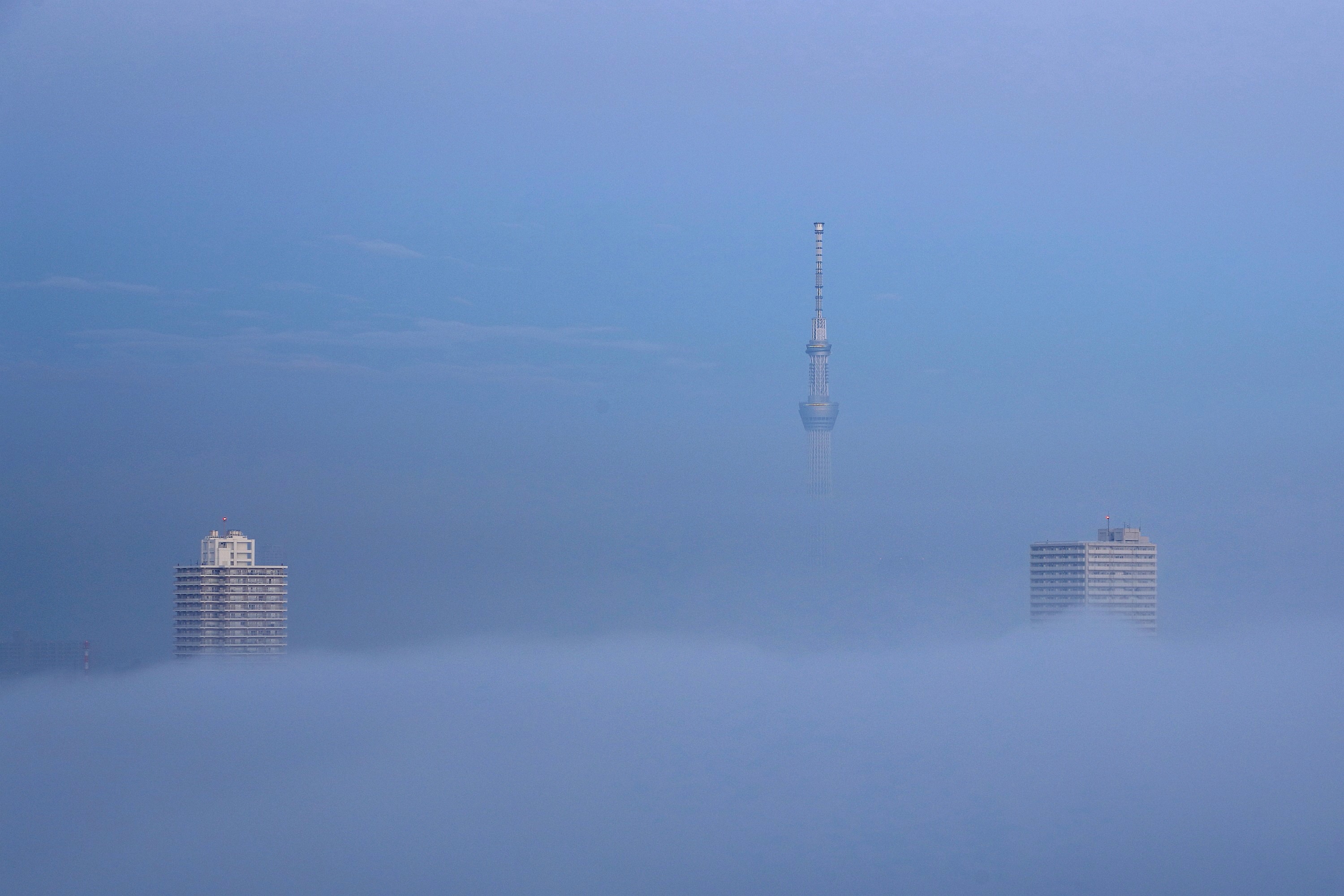 東京スカイツリーとタワマンから見た雲海写真24枚 東京が雲海に包まれました 19 10 30 超高層マンション 超高層ビル