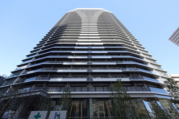 ��ӥ��������