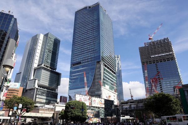 (����)��ë�غ��ָ��϶�����Ƴ�ȯ���� A����