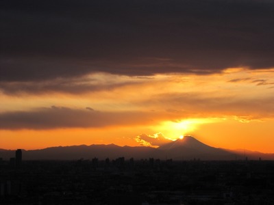 �ϡ���ͥ���������������������ٻΡ��ΰ��������