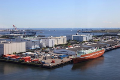 �ѥ�åȥ�����������֤���������׳��綶