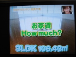 ���ͤΥ֥���