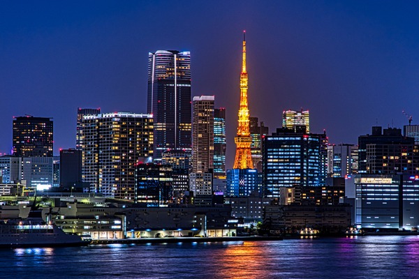 ������ҥ륺��������