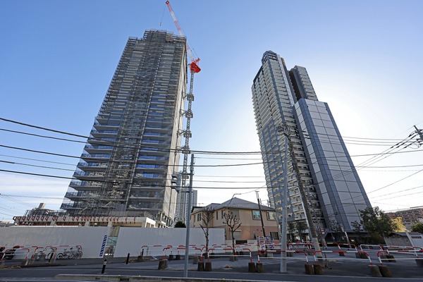 �ѡ�����������Į